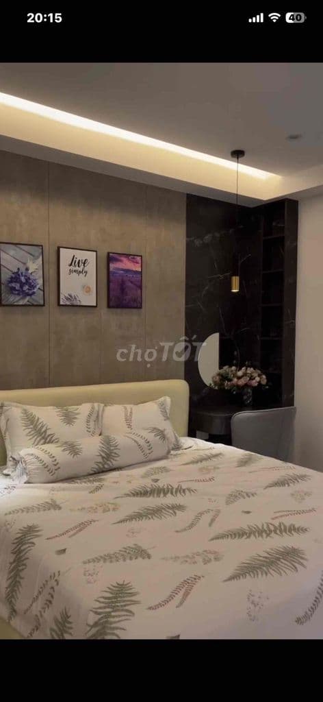Nhà mới 3,5 tầng kế bên Phạm Hữu Lầu - Ảnh 2