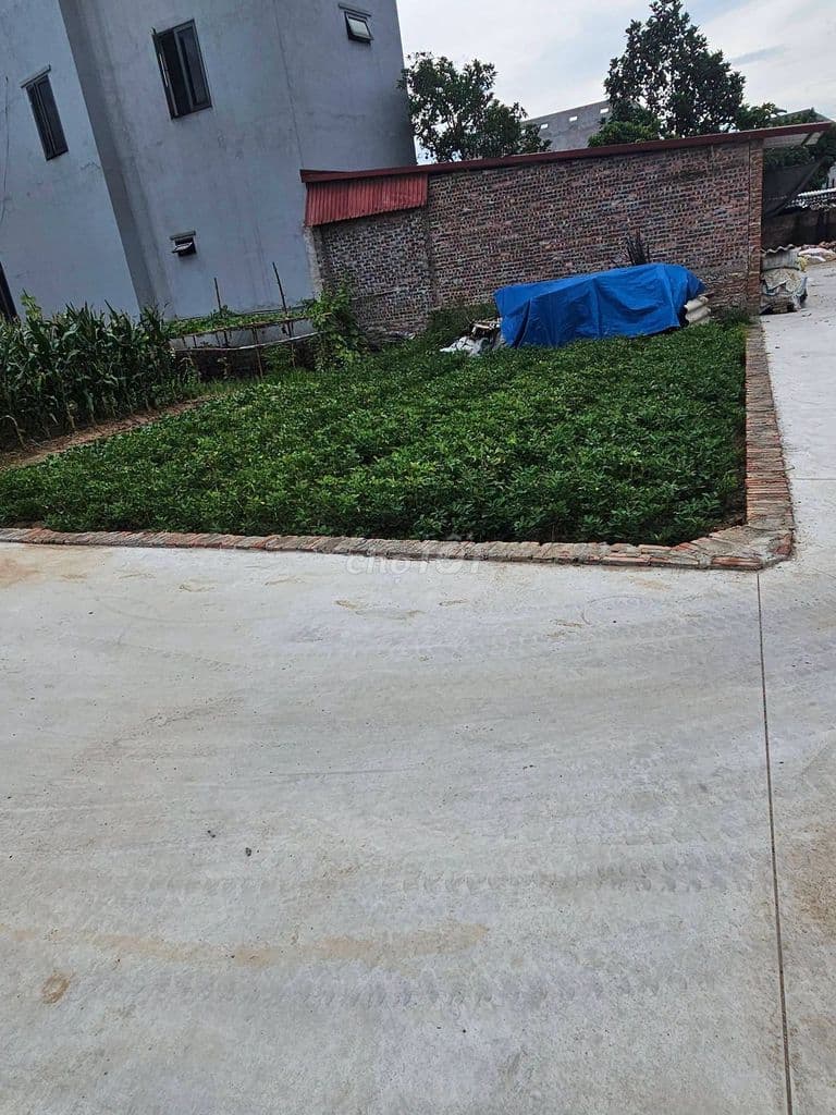 Bán đất 81m² Đại Tảo Đa Phúc, Hà Nội - 2 tỷ - Ảnh 2