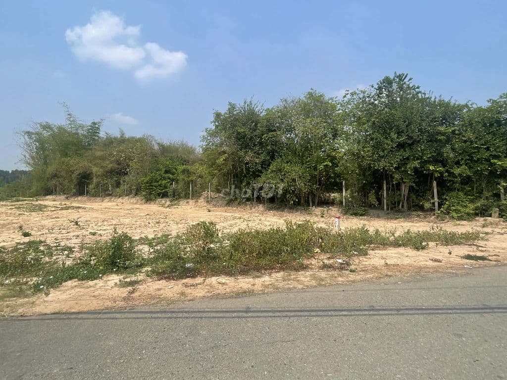 Đất Vườn 990m2 / 12*86 / có sỗ sẵn / 2ty3/ hỗ trợ lên thổ cư . - Ảnh 2