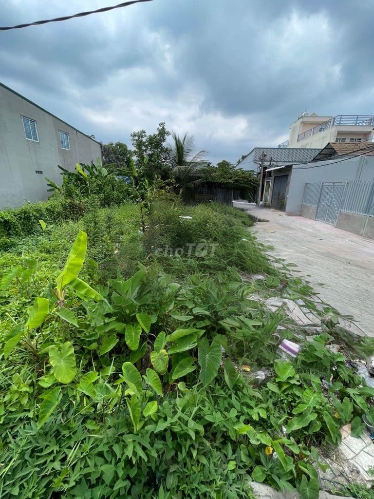 Chính chủ bán gấp lô đất nền Xã Tân Kiên Bình Chánh - Ảnh 2