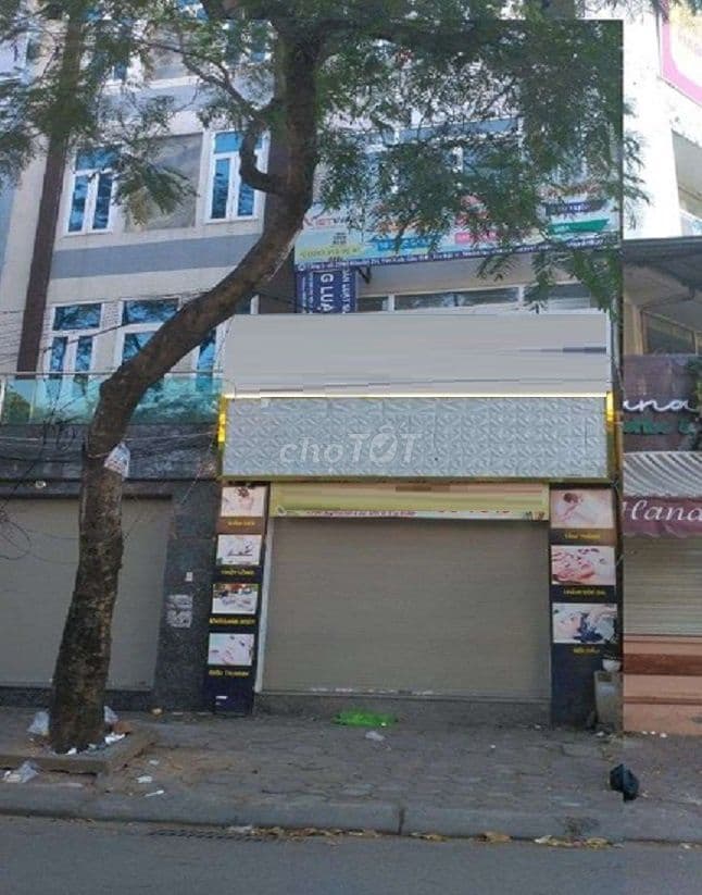 Cho thuê nhà phố Nguyễn Khánh Toàn, Diện tích 100m2 x 6T có Thang máy