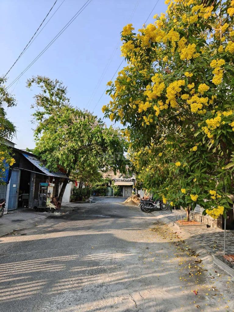 Đất 295m2 Full Thổ Cư Mặt Tiền Đường Ấp Đông 5, Thới Tam Thôn, 13 Tỷ - Ảnh 2