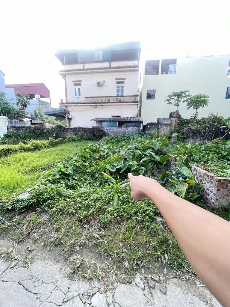CHỈ HƠN 2TỶ LÔ ĐẤT VUÔNG VẮN, ĐƯỜNG THÔNG XE TẢI, GẦN VÕ NGUYÊN GIÁP - Ảnh 3