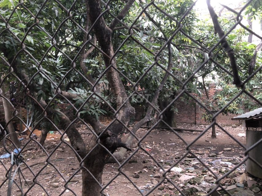 80m² đất ở thổ cư, Lê Trọng Tấn, La Dương, Dương Nội, Hà Đông, HN mTG. - Ảnh 2