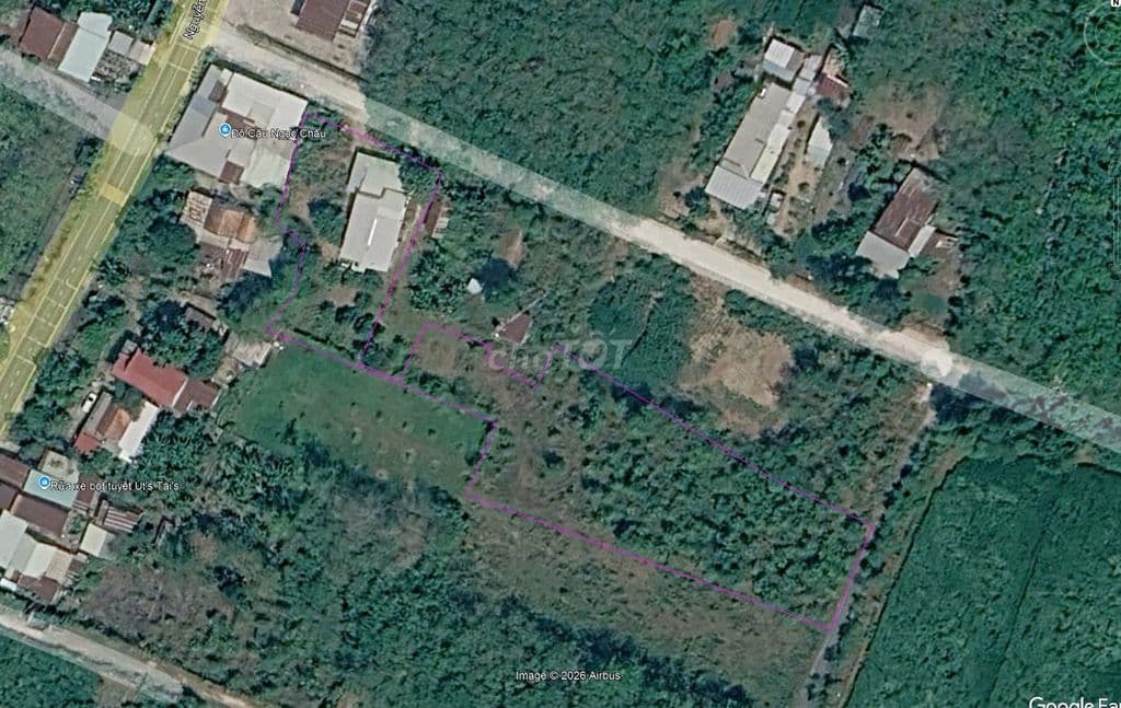 Bán đất 4300m2 tặng 2 căn nhà 1/ nguyễn thị rành củ chi - Ảnh 3