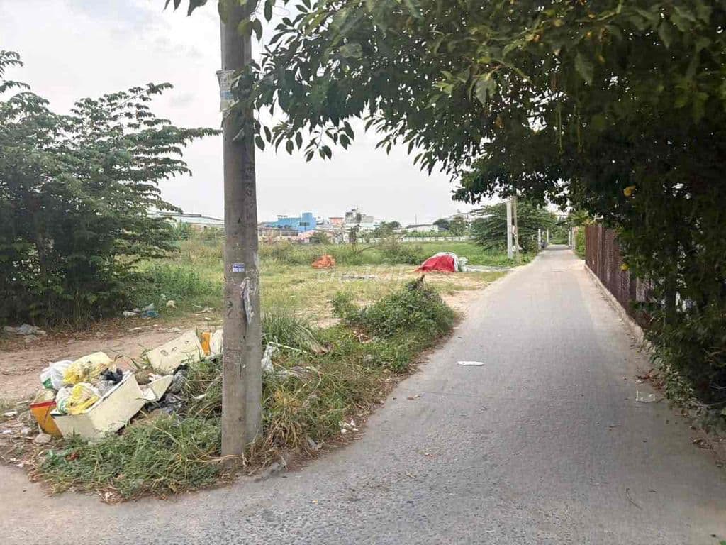 BÁN ĐÂT 3 MẶT TIỀN BÀ ĐIỂM , HÓC MÔN TIỆN PHÂN LÔ BÁN ĐẤT NỀN 👉 17 TỶ - Ảnh 2