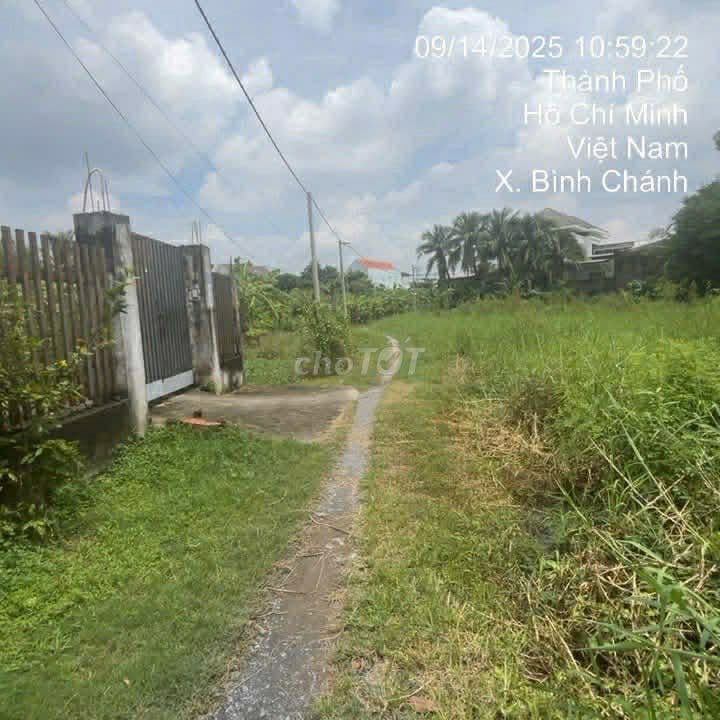 cấn bán đất bình chánh - Ảnh 3