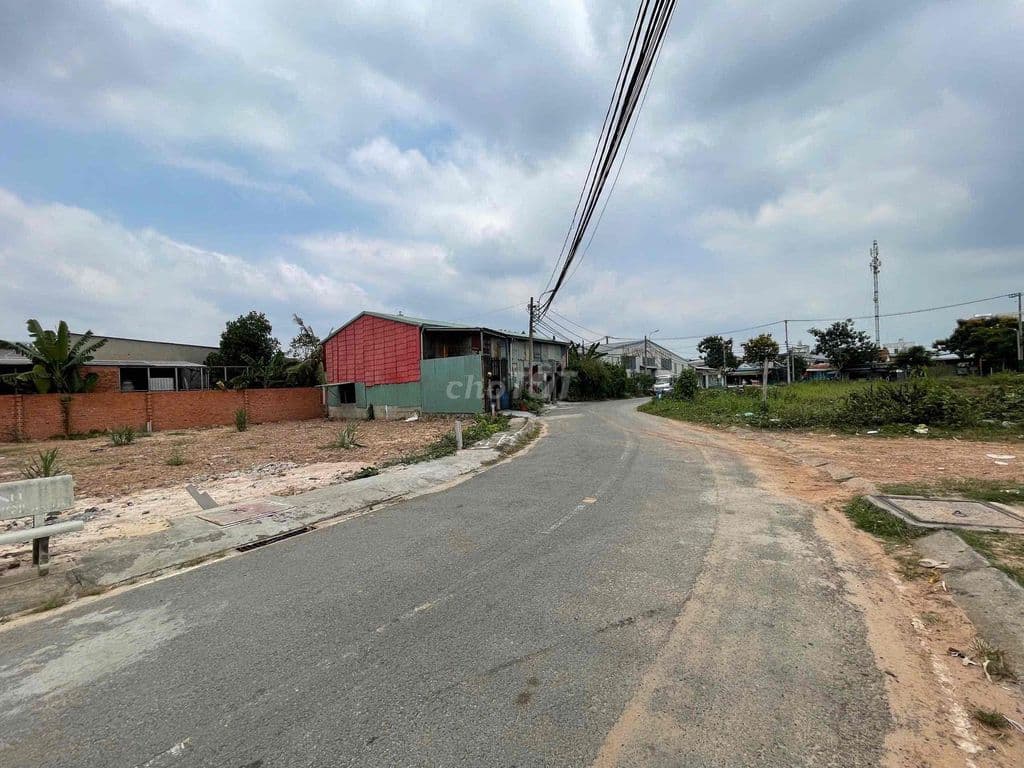 Đất 9x24m, Shr Sổ 218m2 full Thổ Cư - MT Nhựa 8m Gần Chợ XTT Bà Điểm - Ảnh 2