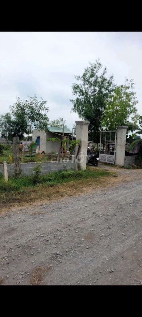 Nhà vườn mặt tiền kênh Đức Lập 2000m2 giá 2ty1 bớt lộc