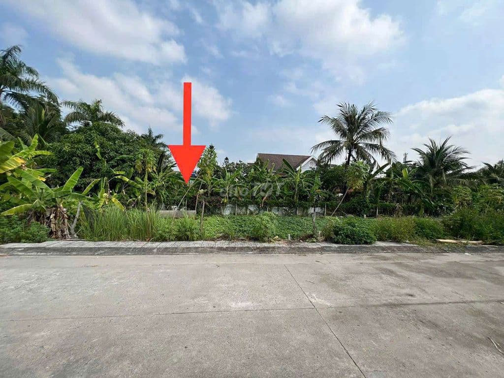 Bán đất thổ cư TX52 q12 - Ảnh 3