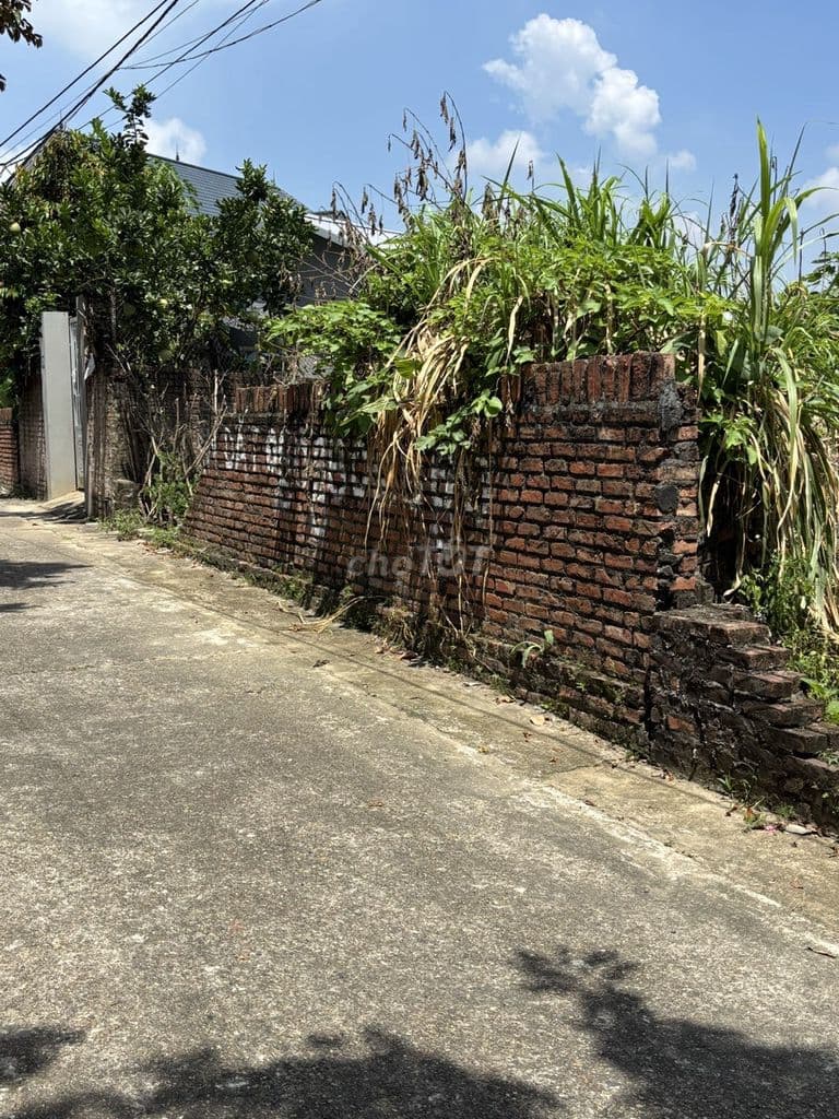 Đất full thổ cư, Phù Linh, Sóc Sơn, Đường ô tô qua, k0ba42 tam72tam65 - Ảnh 2