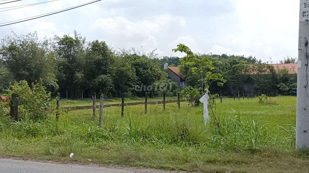 Ngộp! giảm 2 tỷ - 18m MT đường An Nhơn Tây , 1.317m2, có 200m2 tc - Ảnh 2