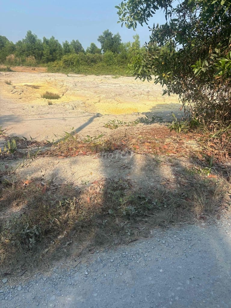 BÁN ĐẤT NGHỈ DƯỠNG CẦN GIỜ - Ảnh 2