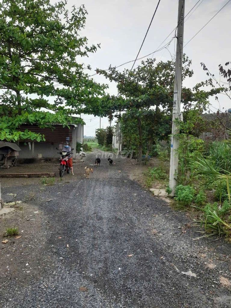 cần tiền bán gấp - Ảnh 3
