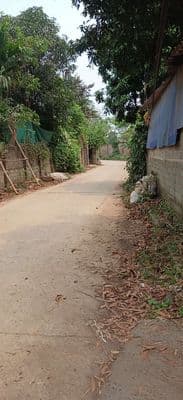 sót lô đất dân sinh sống 150m full thổ cư - Ảnh 3