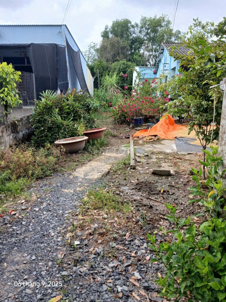 Bán đất mặt tiền đường kinh doanh (5×36m) 178m2. Có 133m thổ cư - Ảnh 3