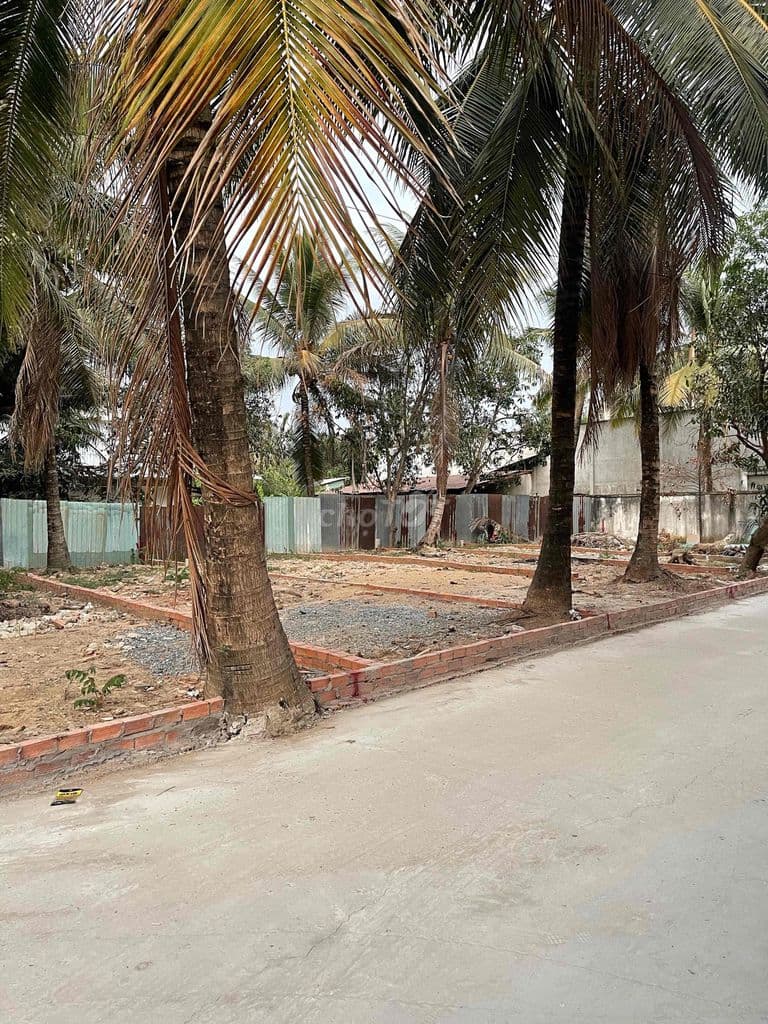 Chỉ 3ty90tr//50m2 ĐẤT Trung Tâm HXH To Đường Lò Lu - Quân 9 - Ảnh 3