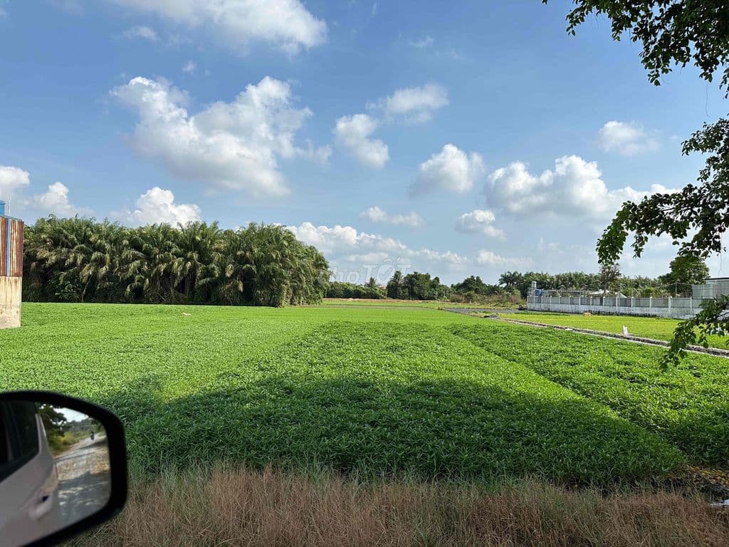 GIA ĐÌNH CẦN BÁN 6400m2 đất Cây lâu năm - 29 tỷ