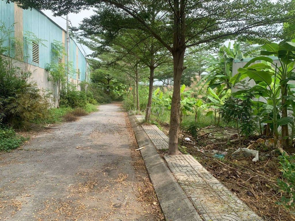 Cần bán 116 m2 đất thổ cư, ngay thành công.
