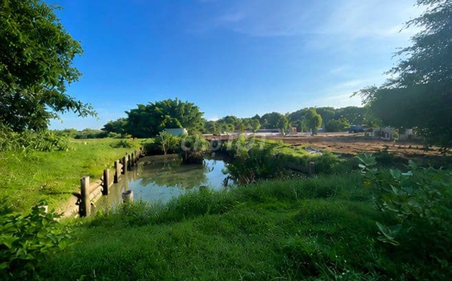 bán đất diện tích 12500 m2 phường Long Phước - Quận 9