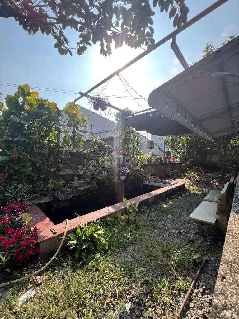 bán đất xã an phú tây bình chánh thành phố Hồ Chí Minh - Ảnh 3