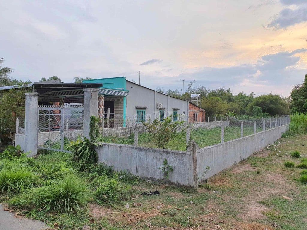 Cần bán 400m2 đất nở hậu đường 686 Củ Chi