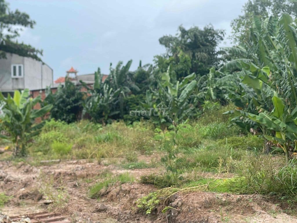 bán đất vườn - Ảnh 2