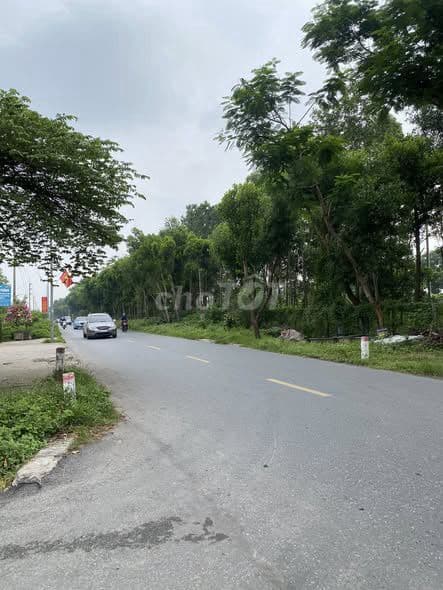 bán đất 55m bìa làng vân nội view cầu nhật tân - Ảnh 3