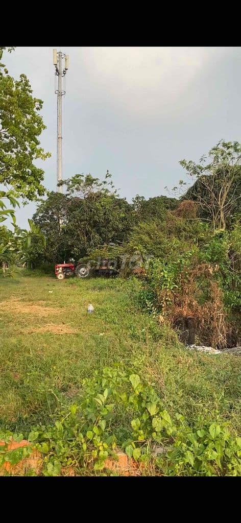 Bán đất đường Kinh Trung Ương