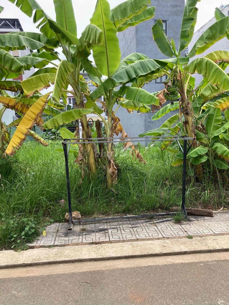 Đất ngay bên Chợ Long Trường, Thủ Đức 3,14 tỷ
