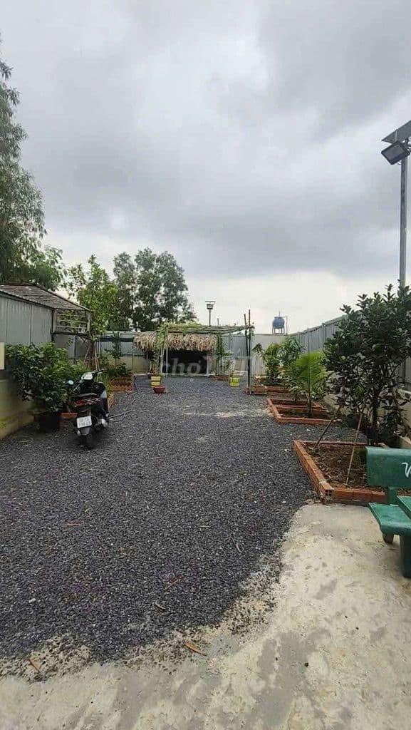 Đất sổ đỏ riêng 200m gần chợ Hóc Môn - Ảnh 3