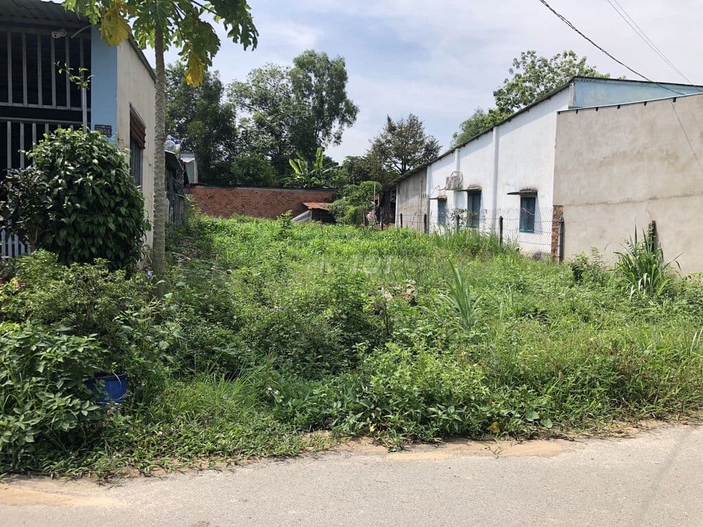 Bán đất mặt tiền Phước Vĩnh An Củ Chi DT 8x26m, SHR, Chủ cần bán gấp