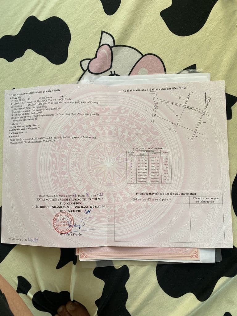 3 thửa đất trồng cây hàng năm - Ảnh 2
