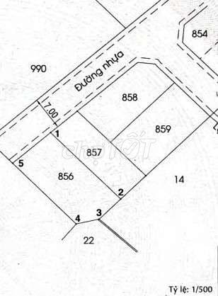 Đất thổ cư 10x20m, mặt tiền hẻm nhựa Bà Điểm 4 gần trường Bùi Văn Ngữ - Ảnh 3