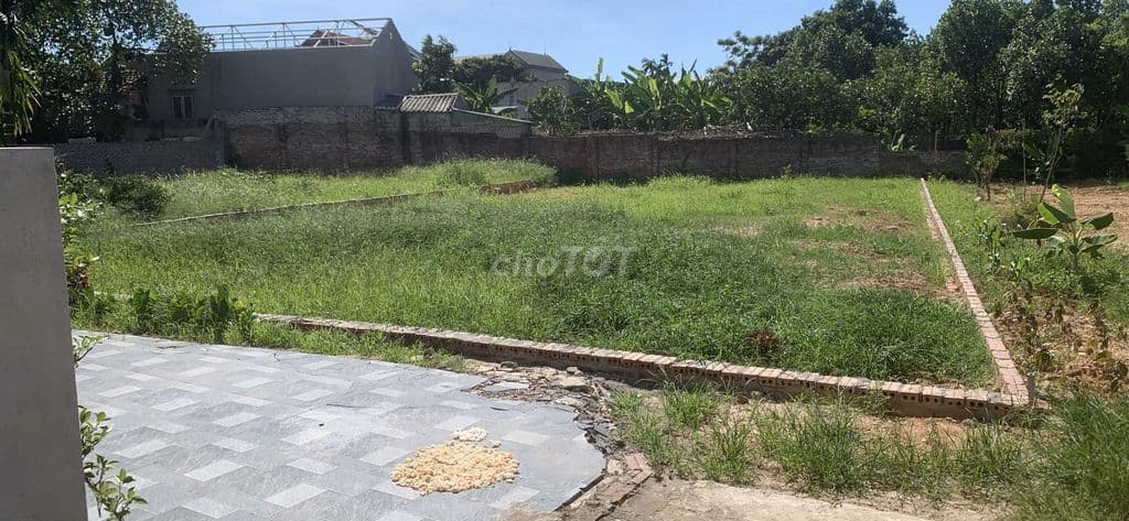 Bán đất chính chủ tại Tây Đằng - Ảnh 3