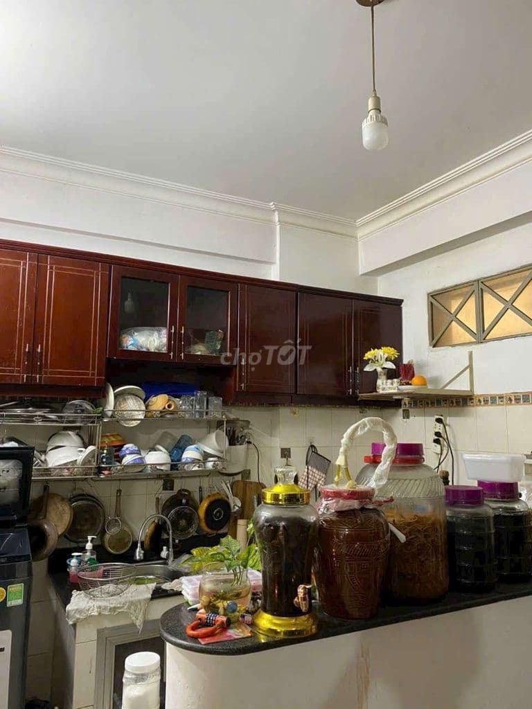 bán căn hộ sân vườn Bùi Tư Toàn - Ảnh 3