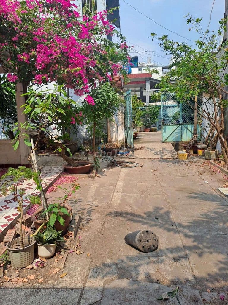 KHUÔN ĐẤT HIẾM - NGAY NHÀ THIẾU NHI GÒ VẤP - HXH - NGANG KHỦNG 10.2M - Ảnh 2