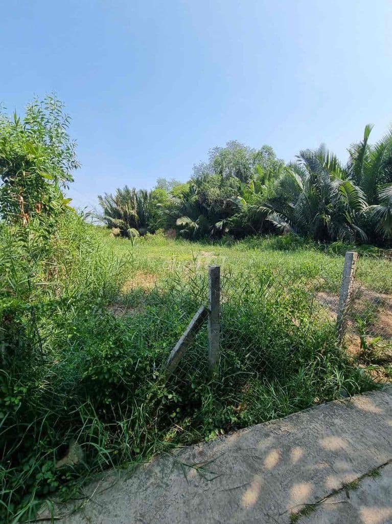 Đất vườn, quy hoạch khu dân cư hiện hữu. nhơn Đức Nhà Bè