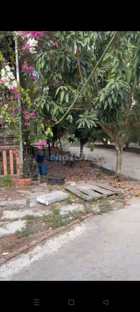 BÁN NHÀ VƯỜN 1500M NHÀ BÈ - Ảnh 3