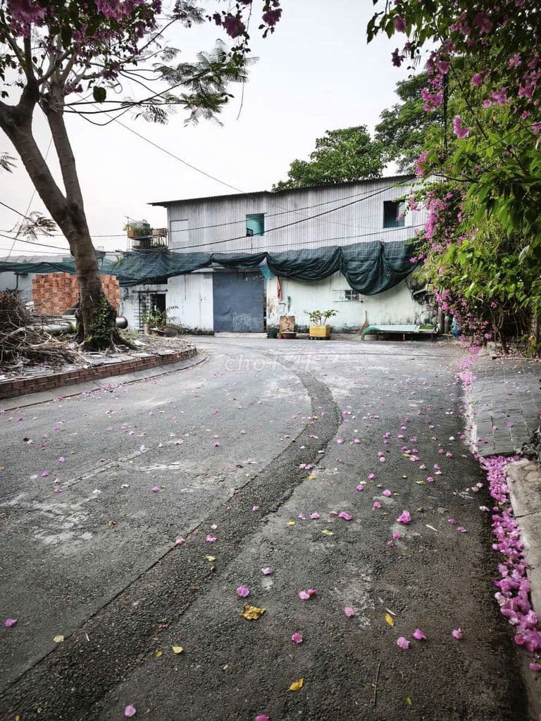 đất đường nhựa thổ cư góc 2mt