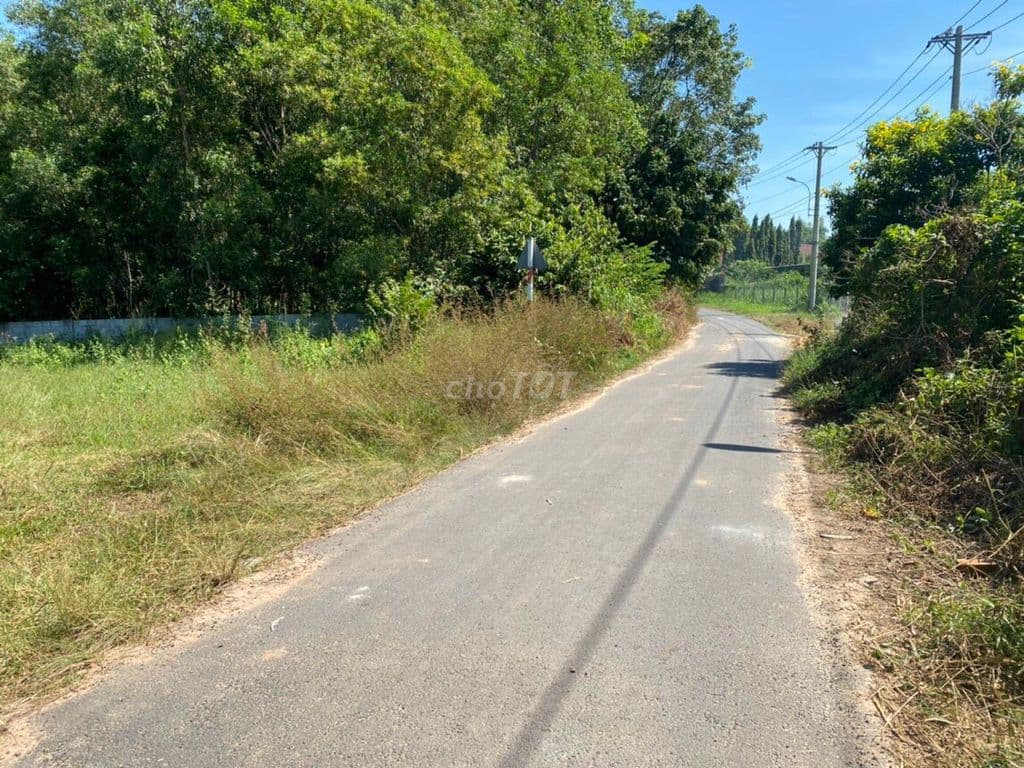 1252,9m² ĐẤT MẶT TIỀN ĐƯỜNG NHỰA – 600m2 TC – gần TL15 Củ Chi