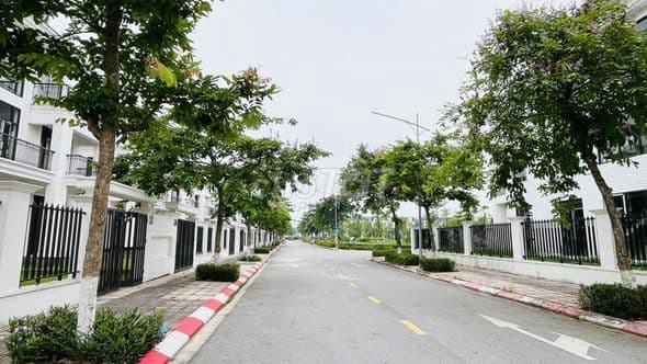 bán biệt thự tại HUD Mê Linh Central vị trí đẹp - Ảnh 3
