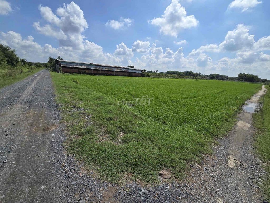 -Miễn tiếp mô giới ! Cần bán 530m2 đất Củ Chi chốt 900tr xã nhuận đuc