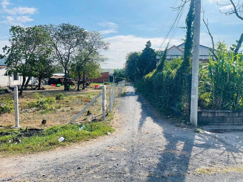 Chính Chủ Bán Gấp Lô Đất 10 × 36 ( 300m2 thổ ) Nguyễn Thị Dạng Củ Chi - Ảnh 3