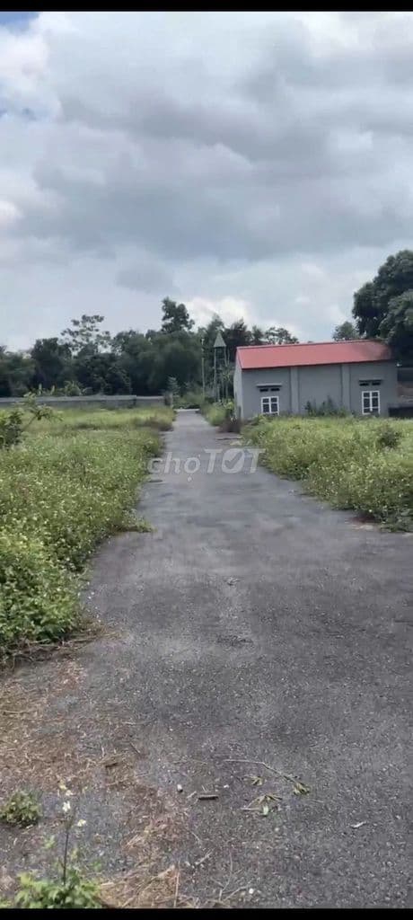 Cần bán nhanh lô đất full thổ cư - Cẩm Lĩnh - Ba Vì - Hà Nội - Ảnh 3