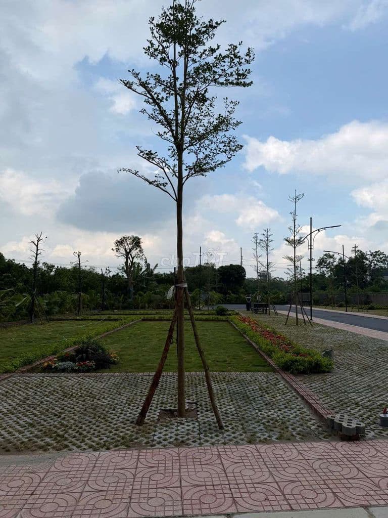 Đất 100m² Cổng 8 ĐHQG Hà Nội, Dân Đông, Xây Trọ Ngay - Ảnh 2