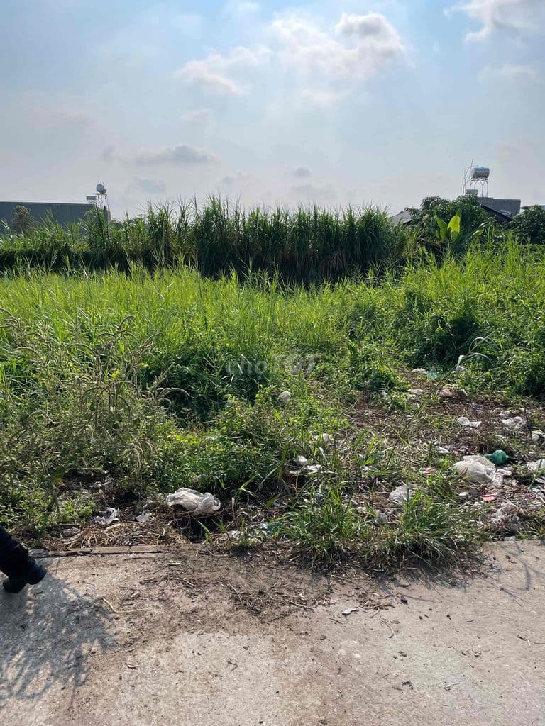 BÁN ĐẤT HAI MẶT TIỀN THỔ CƯ BÌNH MỸ - Ảnh 3