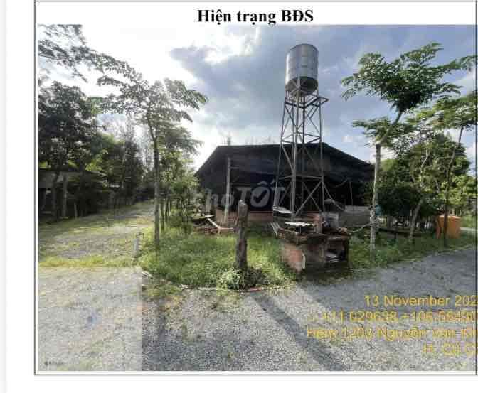 Bán 4150m2 đất, nhà, trang trại, có 300m2 TC, Phú Hoà Đông, Củ Chi - Ảnh 2