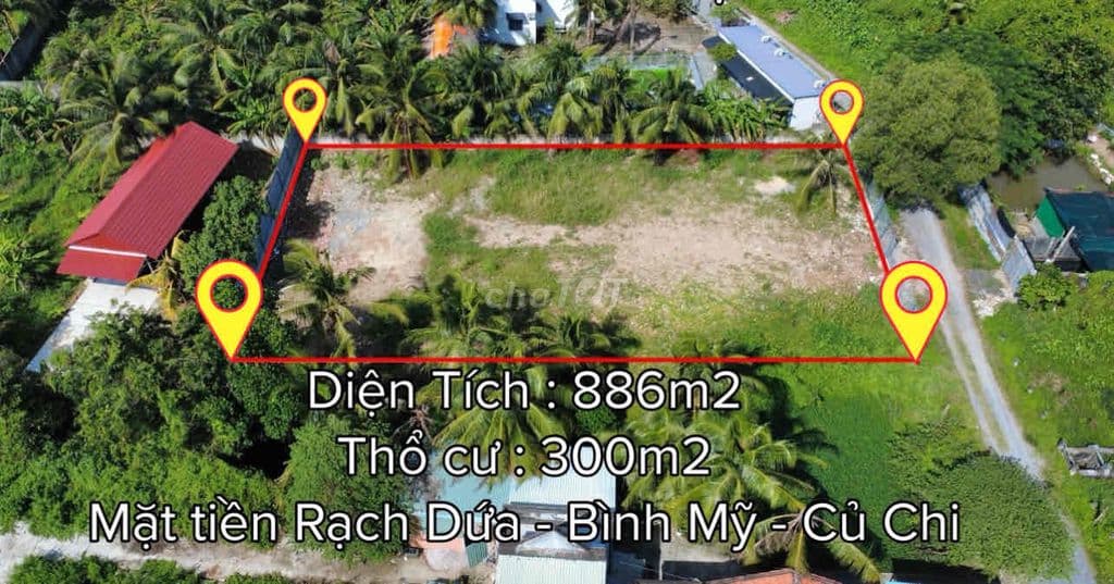 886m2 có 300 Thổ Cư - MT Rạch Dứa - Bình Mỹ - Củ Chi - Ảnh 2