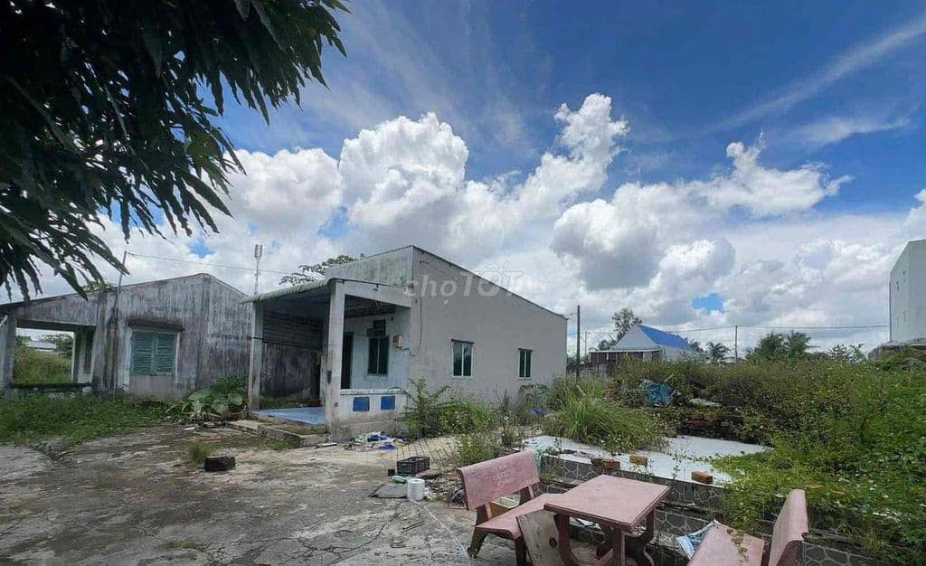 750m2 có 370m2 thổ cư MT đường Kênh Sáng xã Lê Minh Xuân - Ảnh 3
